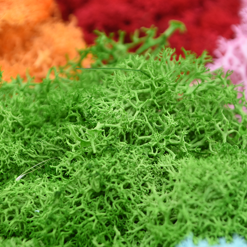 20/40g Artificial Green Plants - Terrarium Moss Art ulasan dan harga