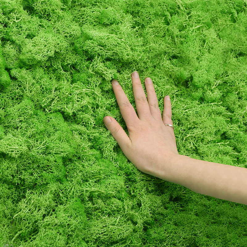 20/40g Artificial Green Plants - Terrarium Moss Art ulasan dan harga