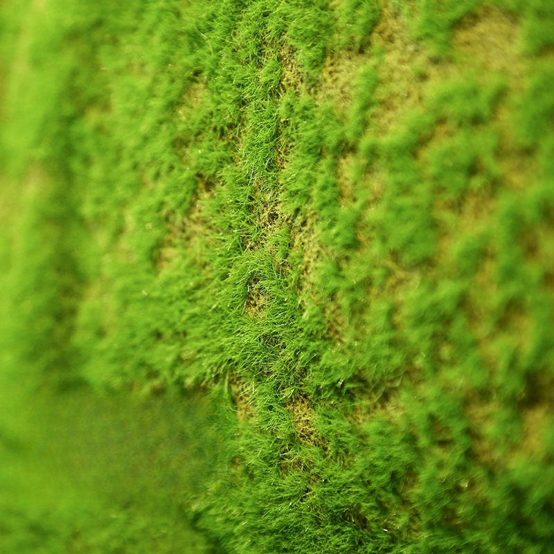 Artificial Turf Moss Grassland - Terrarium Moss Art ulasan dan harga