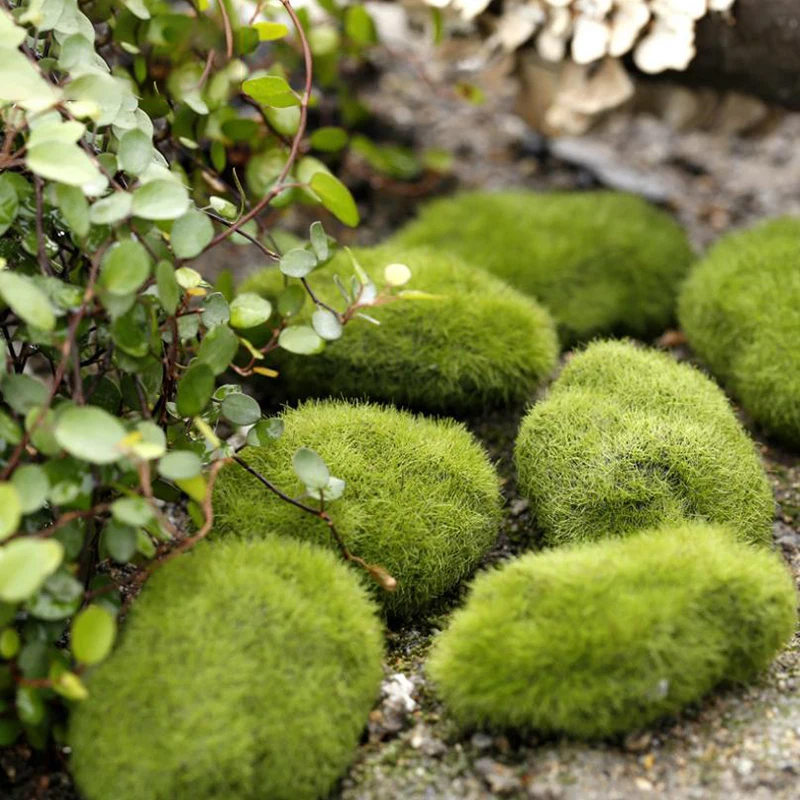 4Pcs Micro Landscape Artificia - Terrarium Moss Art ulasan dan harga