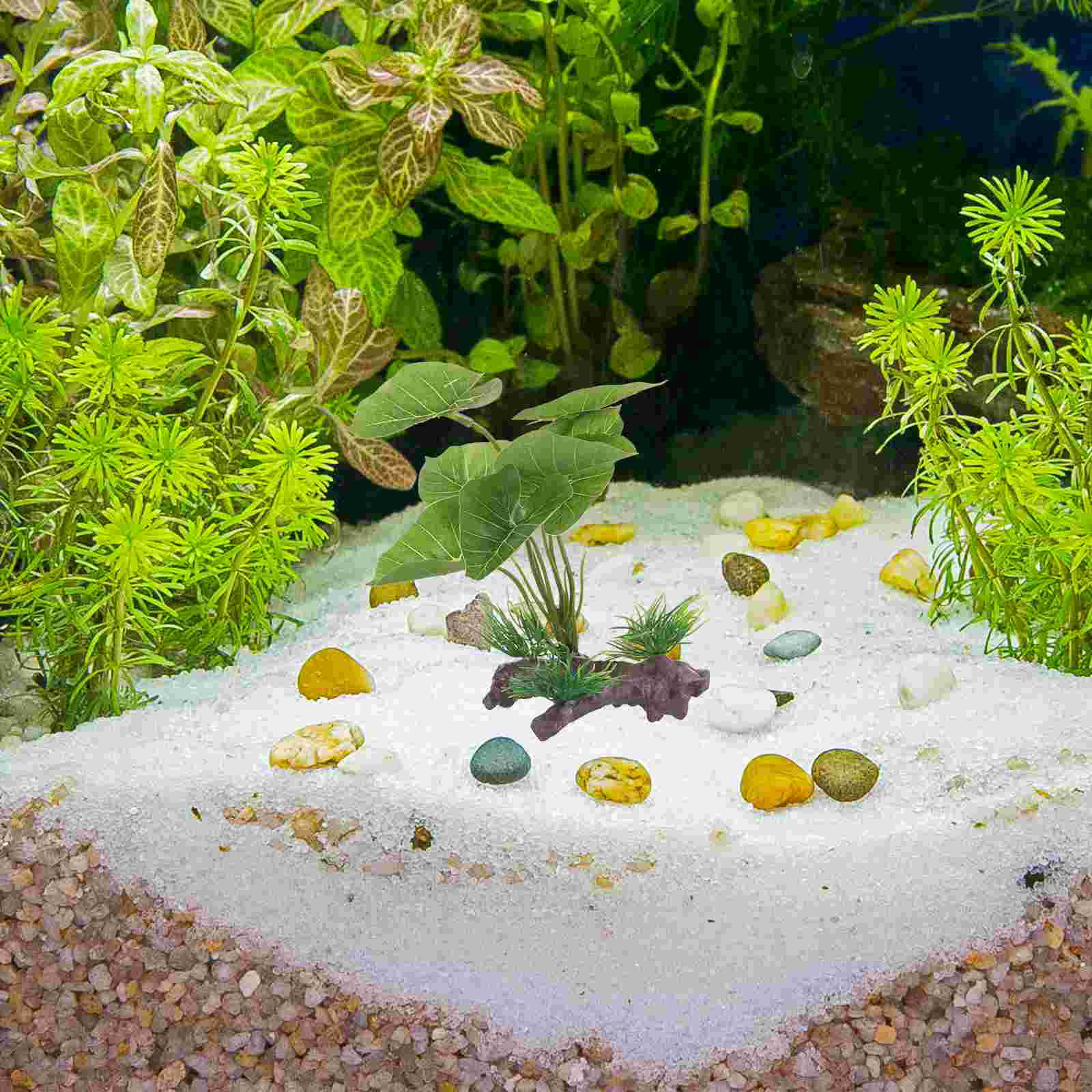 Fish Tank Artificial Water Pla - Terrarium Moss Art ulasan dan harga