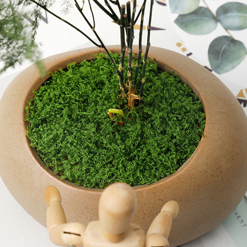 about 20g Artificial Green Pla - Terrarium Moss Art ulasan dan harga