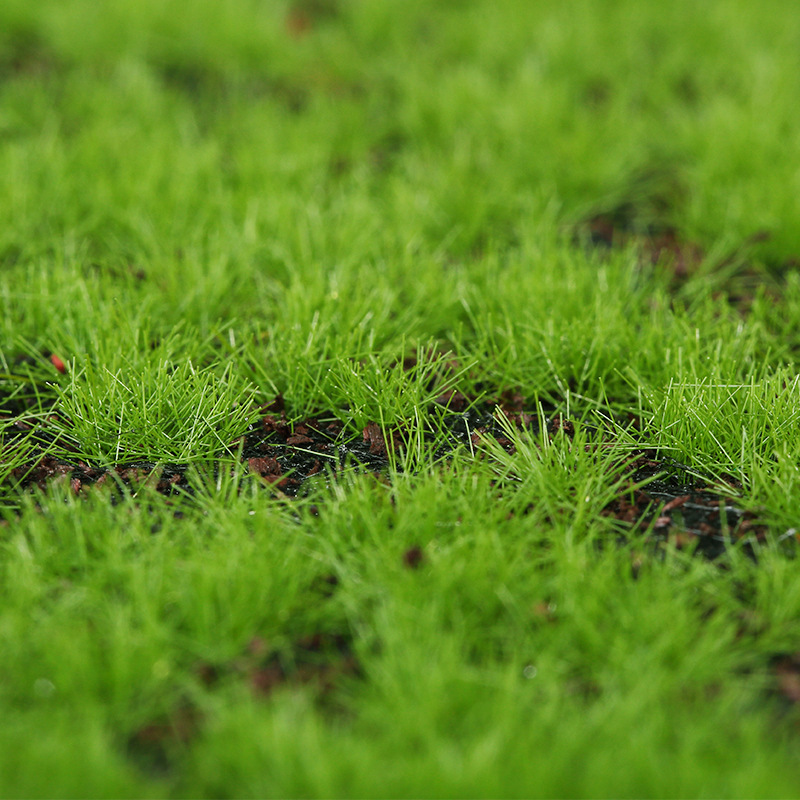 Artificial Moss Fake Green Mos - Terrarium Moss Art ulasan dan harga