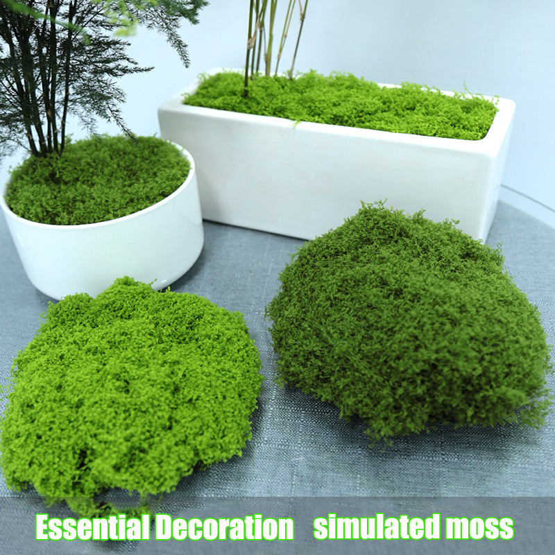 Artificial simulation of moss  - Terrarium Moss Art ulasan dan harga