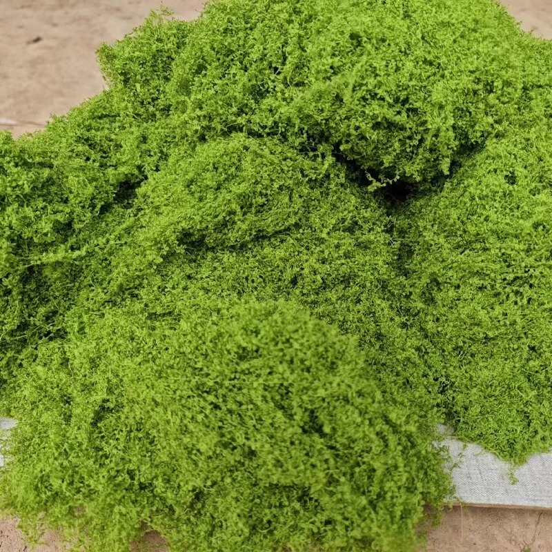 30g Fake Moss Artificial Green - Terrarium Moss Art ulasan dan harga
